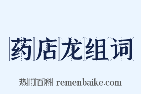 药店龙组词是什么意思的图片